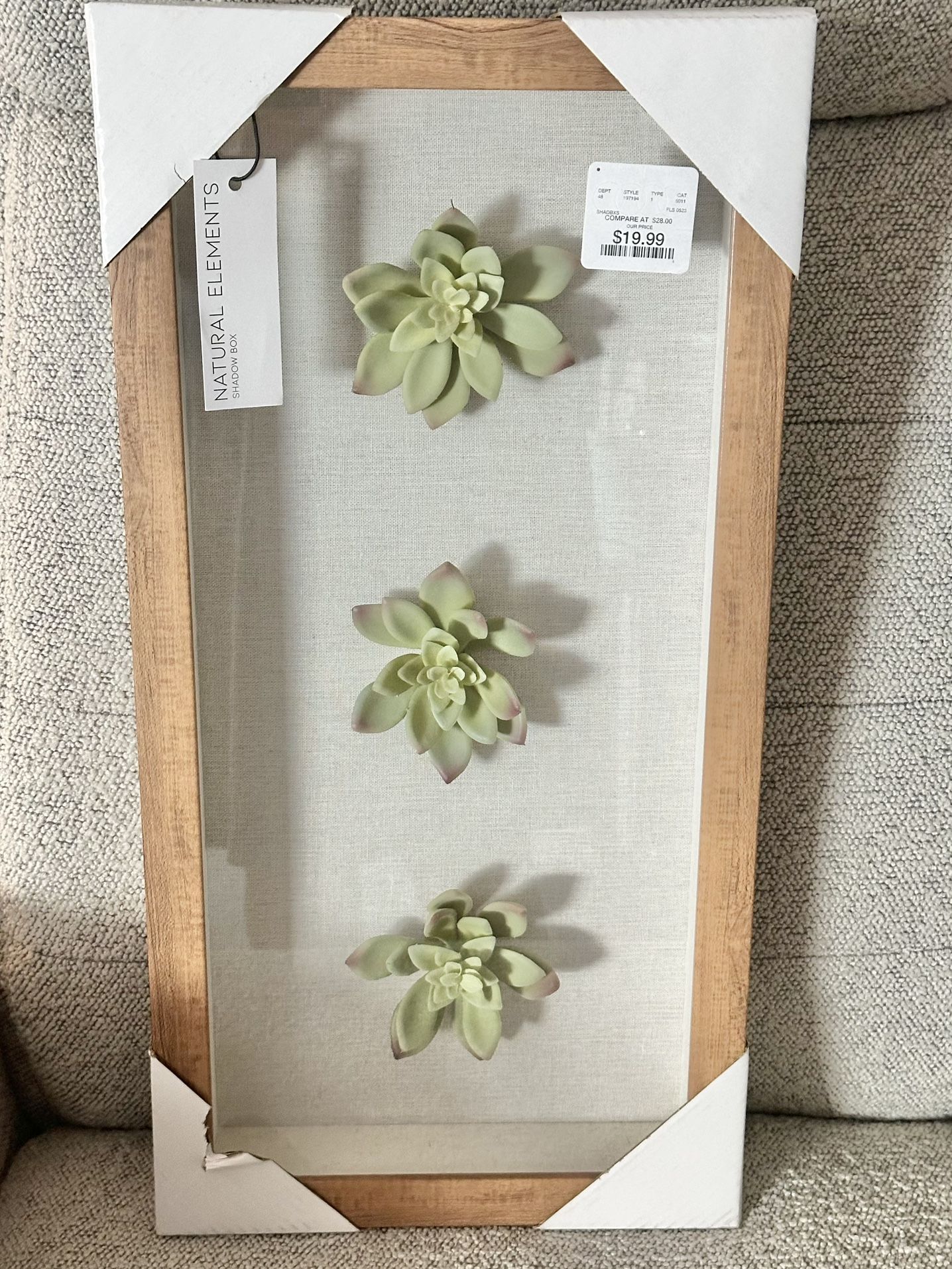 Succulents In A Shadow Box Frame