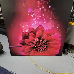 Large Vivid Dahlia Flower Canvas Wall Art (approx. 48" x 48")