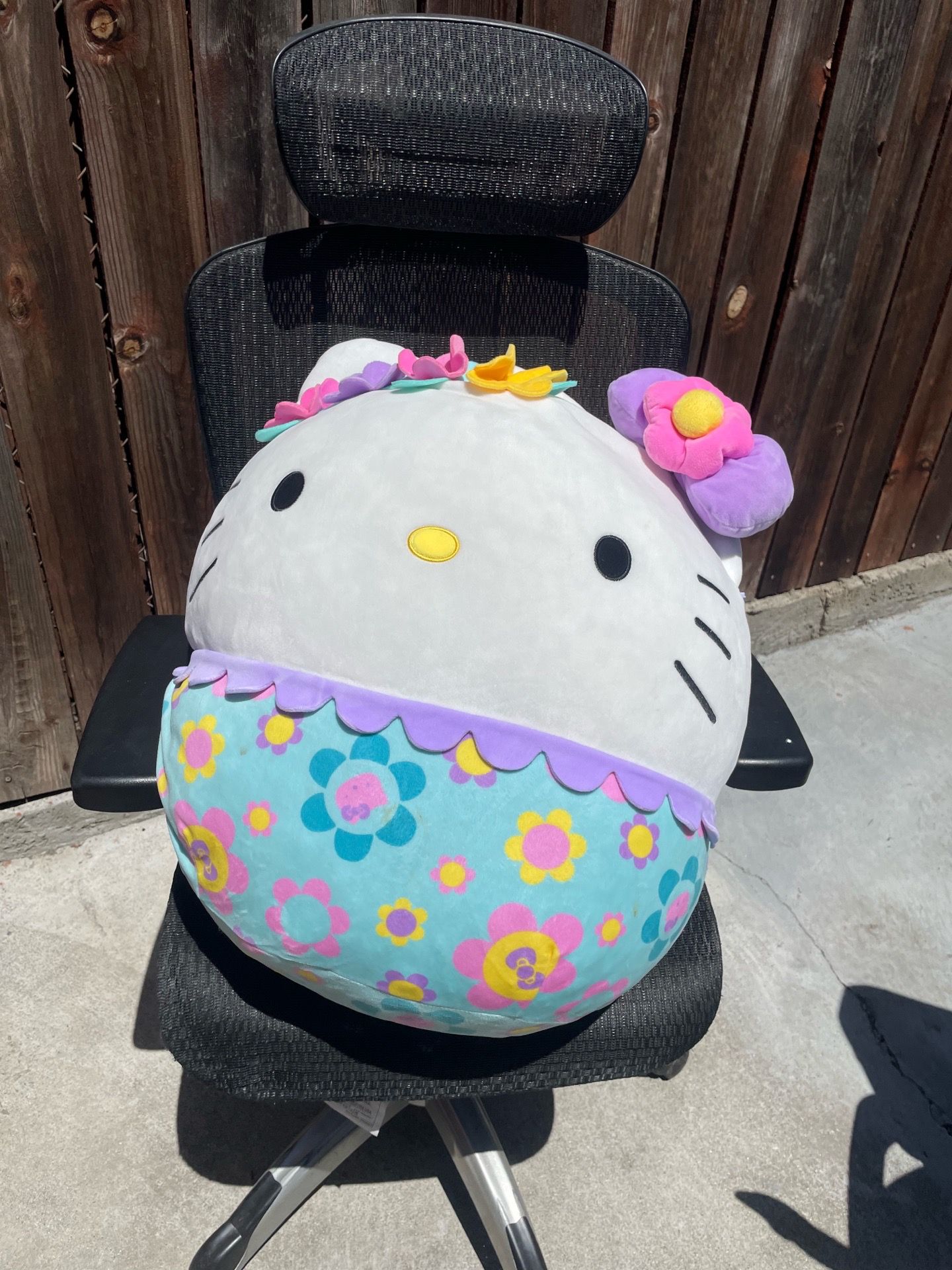 Hello kitty plushy