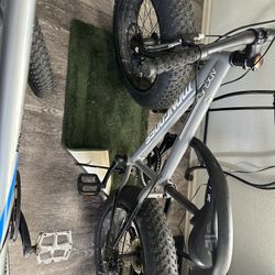 Two Fat Tire Bikes