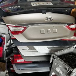 Trunk