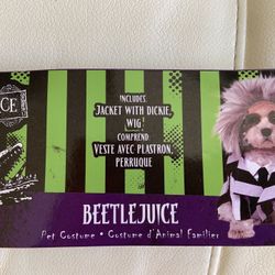 Disfraz para perro costume for dogs