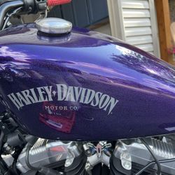 Harley Davison Sportster Gas Tank 