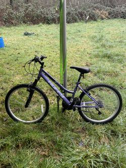 Medium Sized Purple Bike