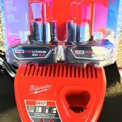 Milwaukee M12 12-Volt Lithium-Ion XC Extended Capacity 3.0 Ah Battery Pack(2-Pack) with charger