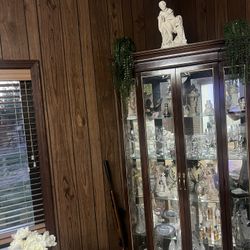 Showcase Cabinet 