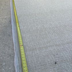 12/21 Ft Carpet New Price 350