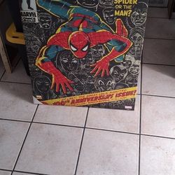 Marvel Comics Spiderman Wall Art