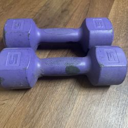 Set Of 5lb Weights 
