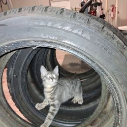 215/50R17  -4 TIRES-BLIZZAKWS60