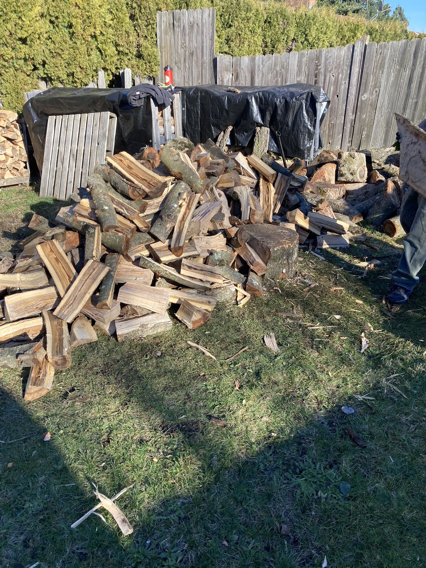 Oak Firewood
