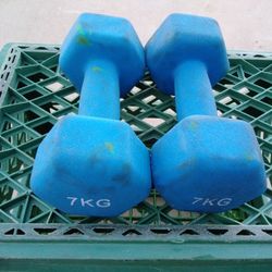 Pair Of 7 Kg 15 Lb Rubber Coated Iron Hex Dumbbells 30 Lb Total Weight