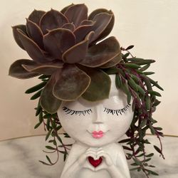 Succulent Arrangement 