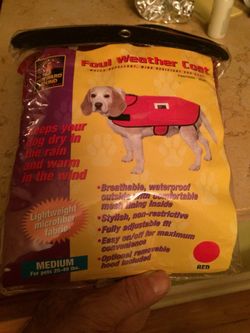 Doggy raincoat