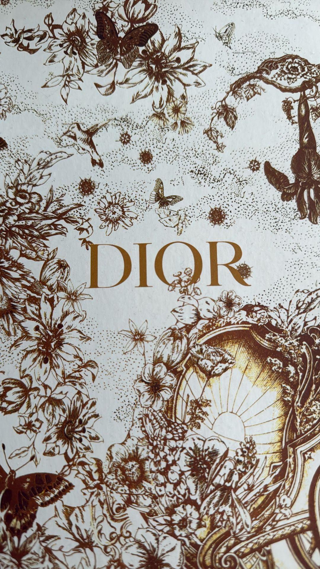 Dior Bag