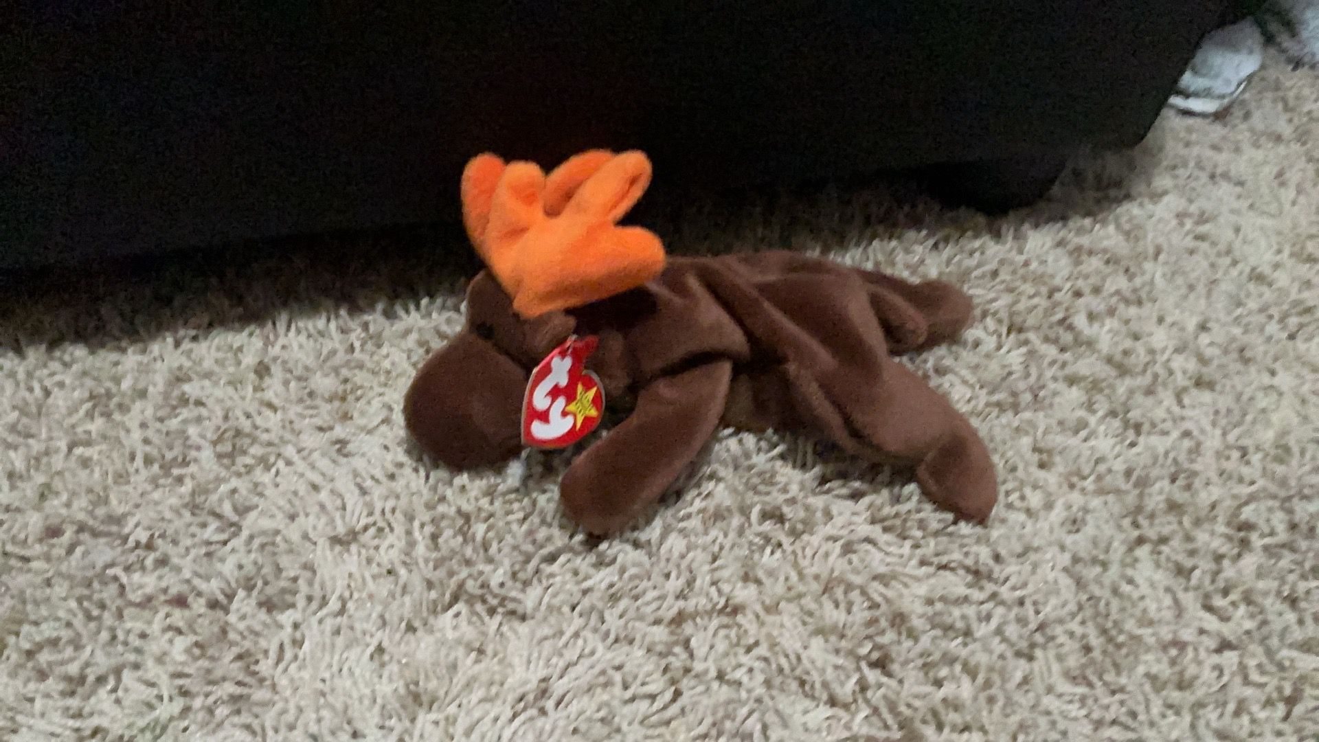 Rare collectible beanie baby