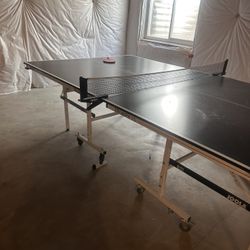 Ping Pong 