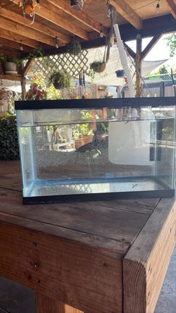 5 gallon tank