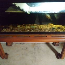 55gallon Tank With Stand