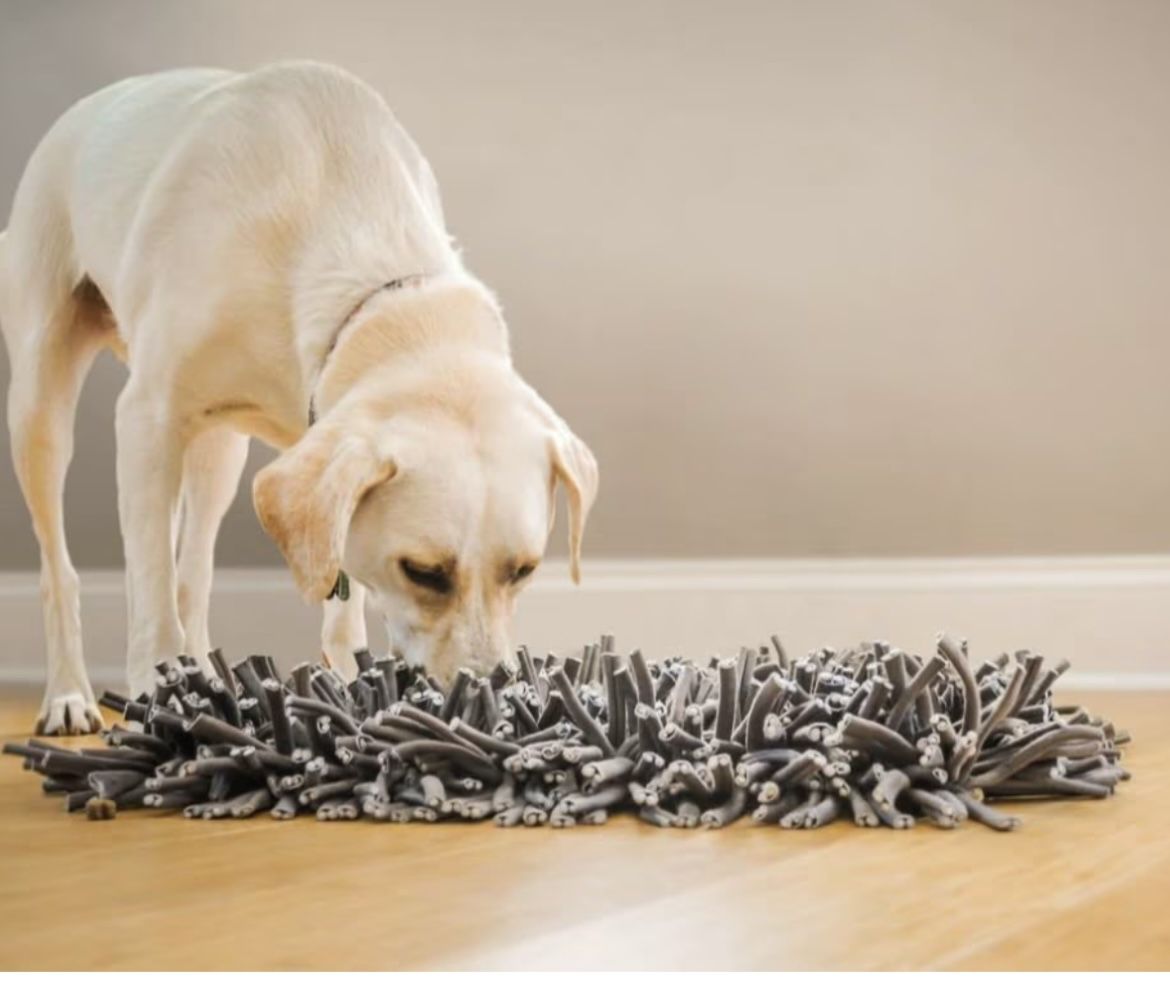 PAW5 Wooly Snuffle Dog Feeding Mat
