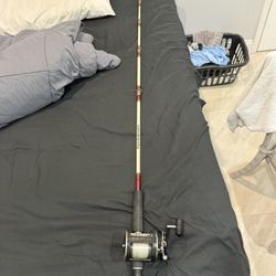 Penn 350 On A Penn Rod