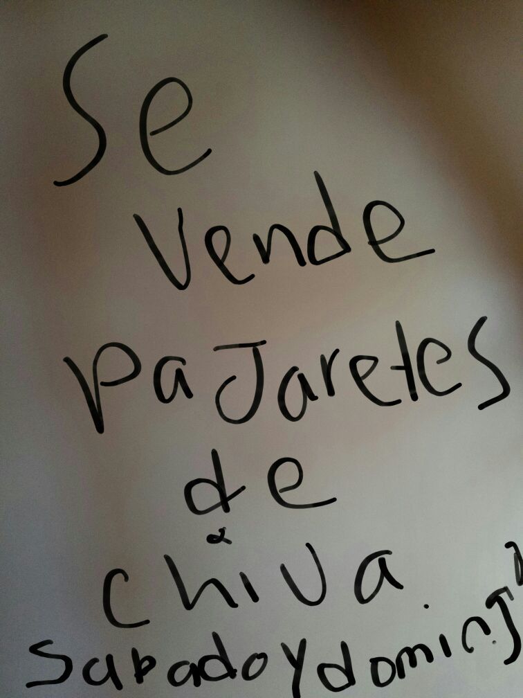Sabado y domingo