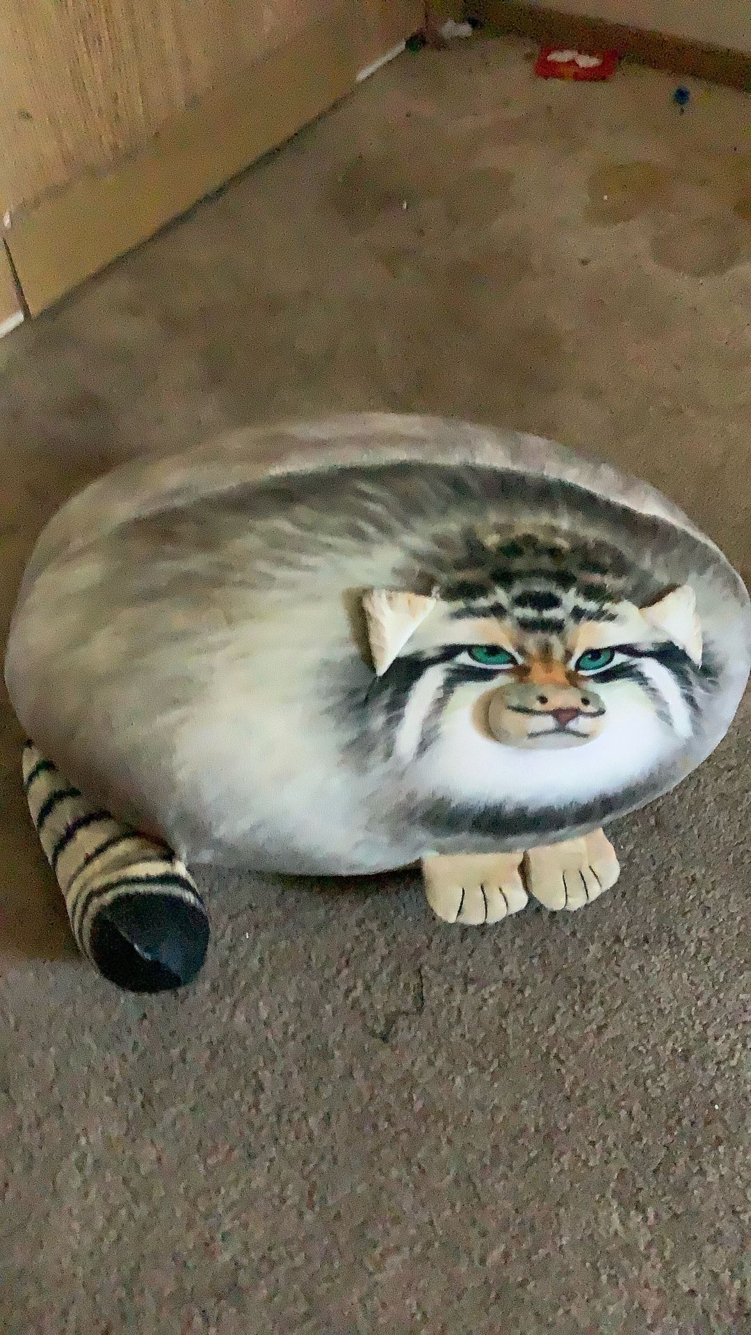 Squish mellow