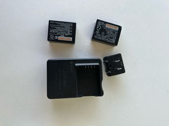 Fuji Charger and 2 Batteries
