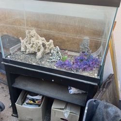 Free Fish Tank