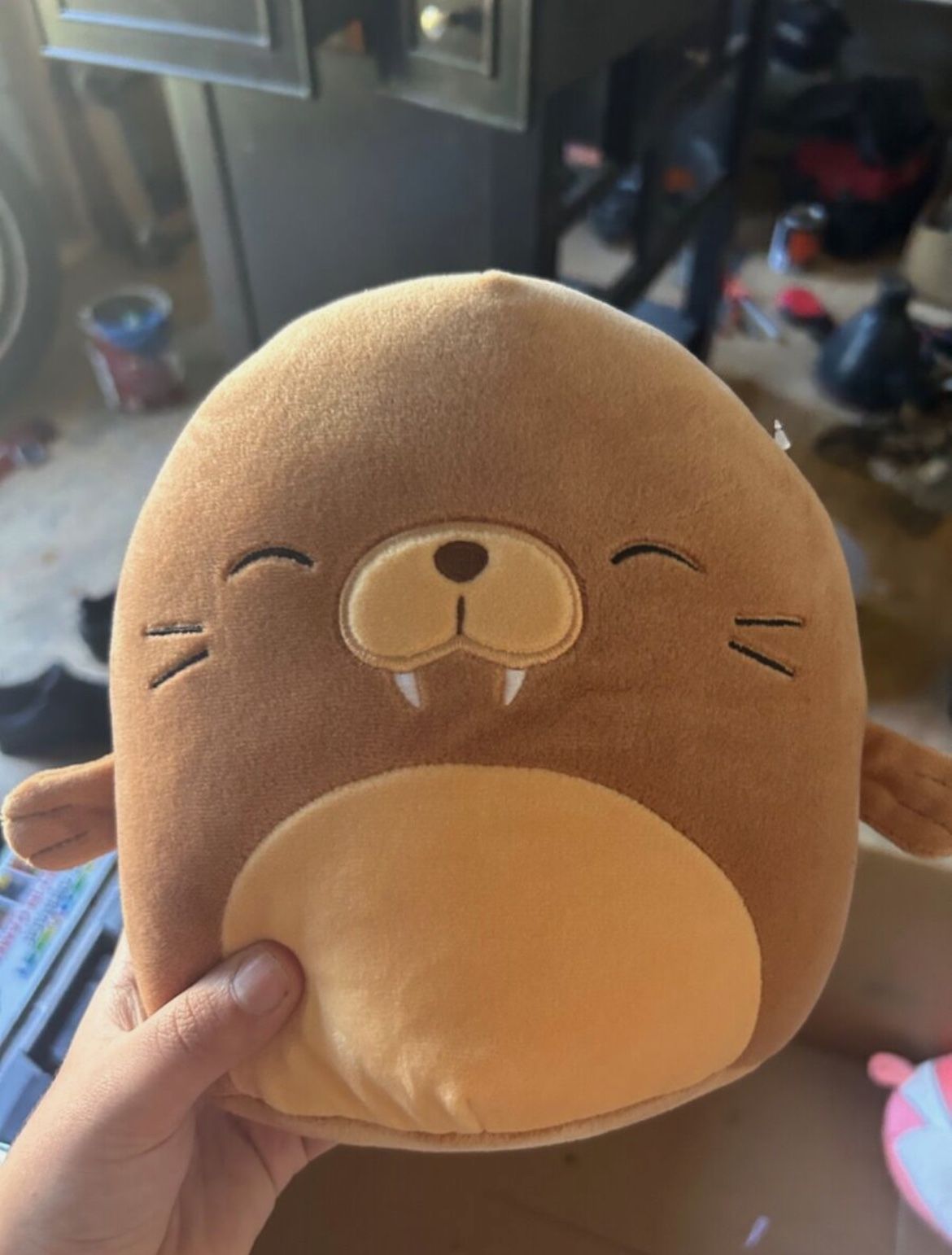 bruce the walrus squishmallow 