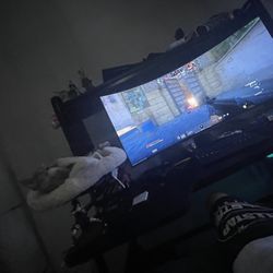 Lg Ultragear 240hz 45” Curved Monitor