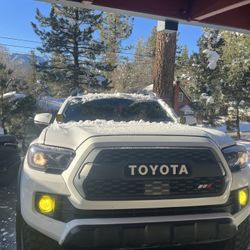 Trd Pro Grille