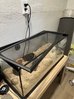 Reptile aquarium