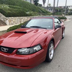 2001 Ford Mustang