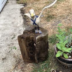 Garden Decor