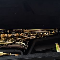 black and gold alto saxophone 