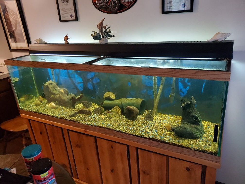 125 Gallon Fish Tank