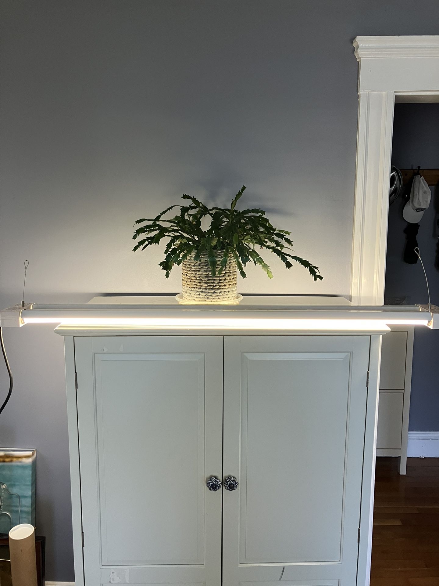 Shop Lamp, Fluorescent Lamp, 4’.