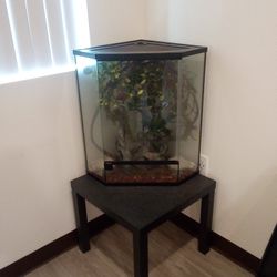175 Gallon Triangular Terrarium with Stand