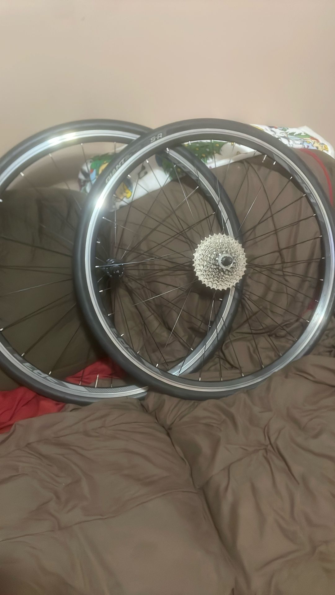 Bike rims