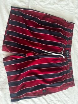 Hollister Men’s Striped Swim Shorts