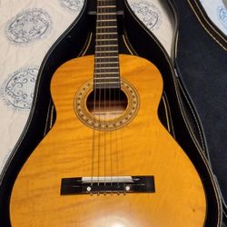 Concert Guitar 