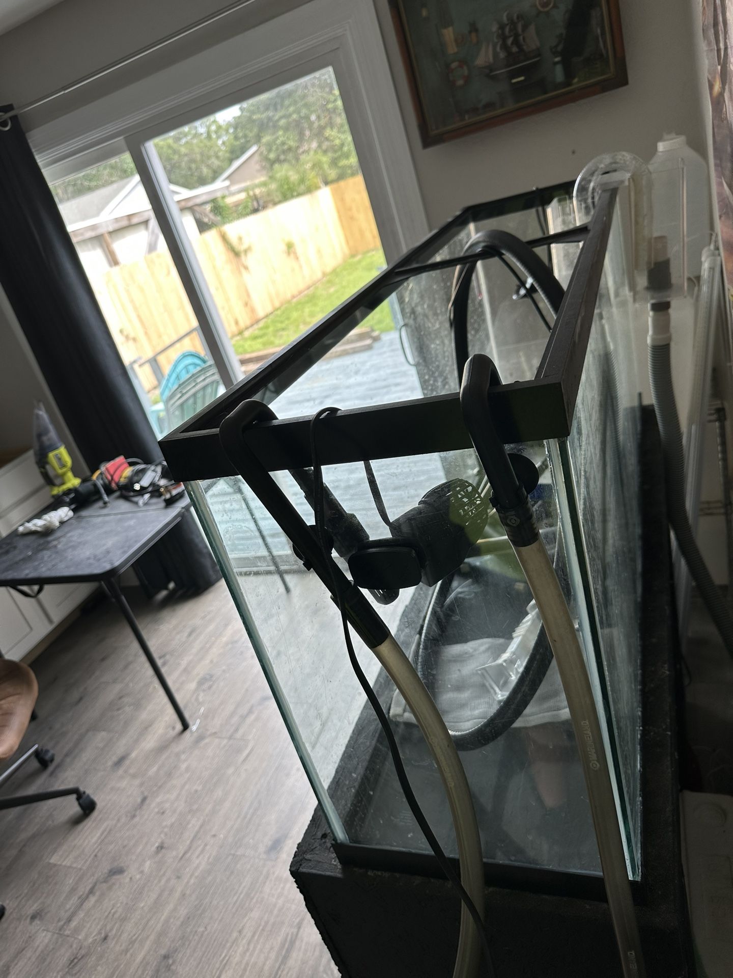 55 Gallon aquarium long