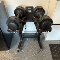 Adjustable Dumbbells Set Of 2 With Stand 110LB