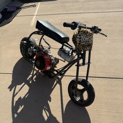 Predator 224 Mini bike