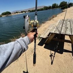 Leviathan rods alpha silver soft swim xh