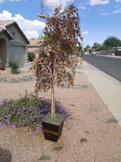 Fake tree