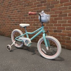 PREOWNED LIV ADORE 16 MINT GREEN SINGLE SPEED KIDS YOUTH GIRLS BIKE BICYCLE WITH TRAINING WHEELS