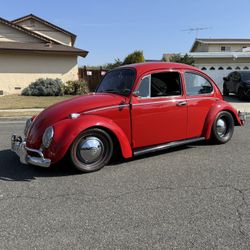 1965 Volkswagen Beetle