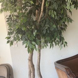 Artificial Trees